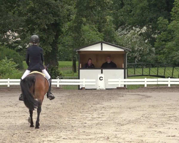 Reitturnier Nörten-Hardenberg 2024