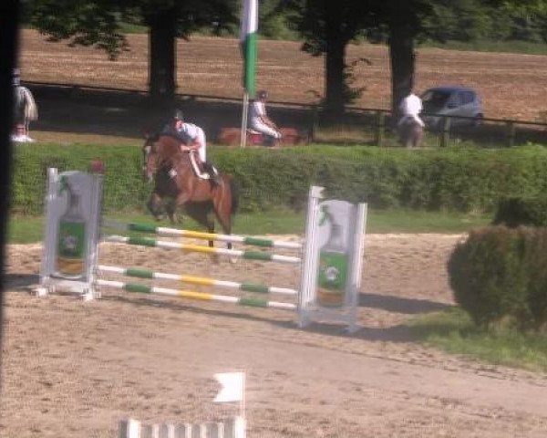 Reit- und Springturnier des LRFV Recklinghausen e.V. vom 23.-26.08.2012