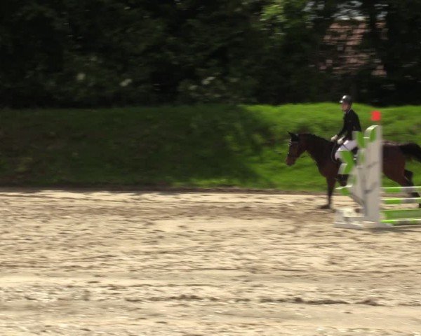 Reitturnier Fröndenberg 2024