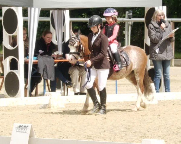Reitturnier Winnenden 2024
