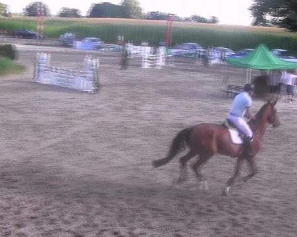 Reit- und Springturnier des LRFV Recklinghausen e.V. vom 23.-26.08.2012