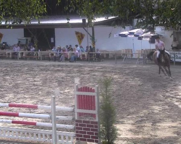 Reit- und Springturnier des LRFV Recklinghausen e.V. vom 23.-26.08.2012