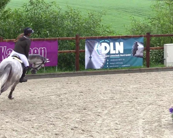 Reitturnier Sörup 2024