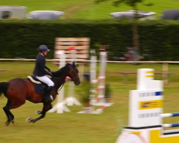 Reitturnier Wingerode 2024