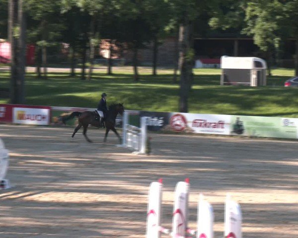 Reitturnier Stadl-Paura 2024