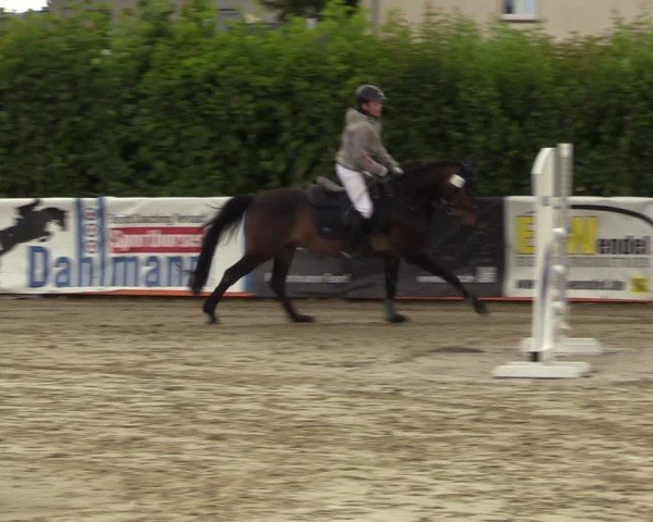 Reitturnier Fröndenberg 2024