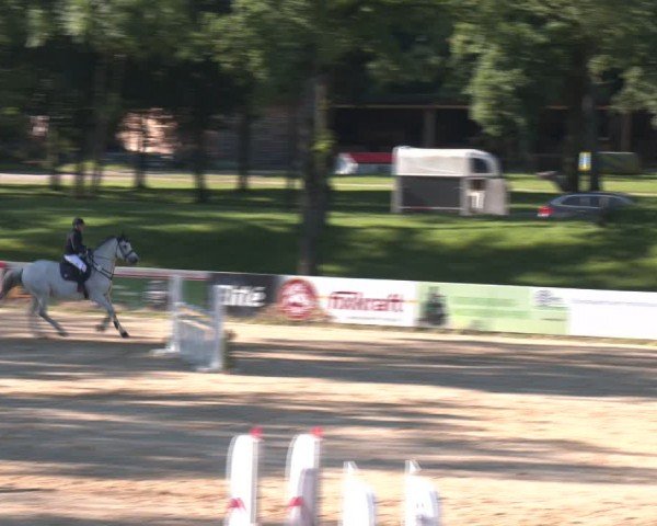 Reitturnier Stadl-Paura 2024