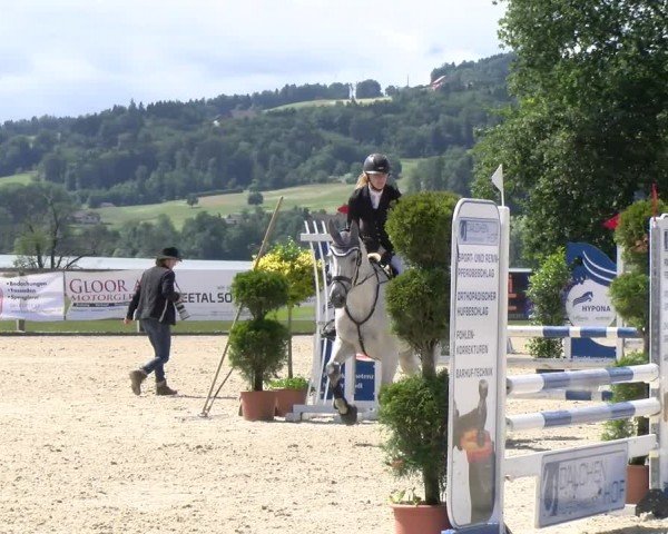 Reitturnier Hitzkirch 2024