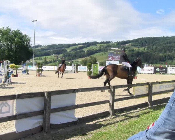Reitturnier Hitzkirch 2024
