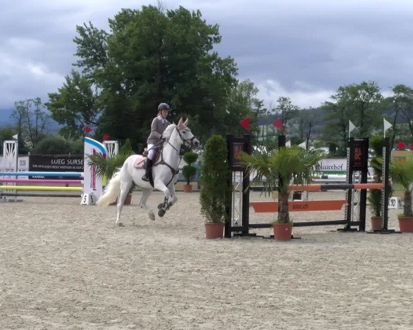 Reitturnier Hitzkirch 2024
