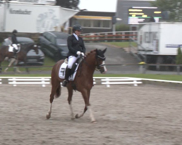 Reitturnier Fröndenberg 2024
