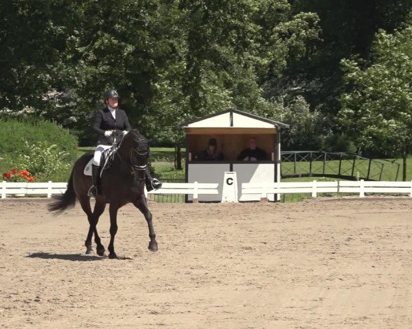 Reitturnier Nörten-Hardenberg 2024