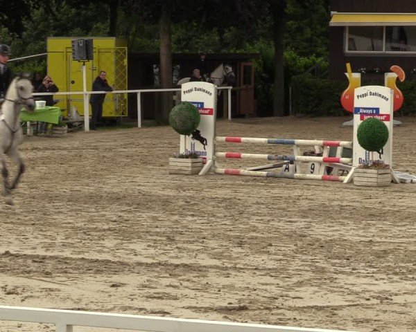 Reitturnier Fröndenberg 2024