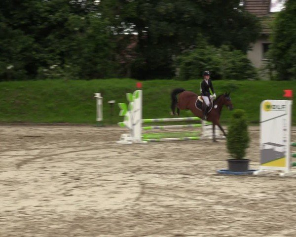 Reitturnier Fröndenberg 2024