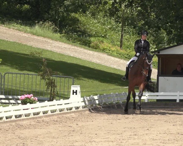 Reitturnier Nörten-Hardenberg 2024