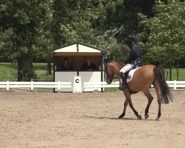 Reitturnier Nörten-Hardenberg 2024