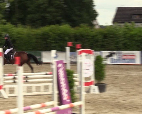 Reitturnier Fröndenberg 2024