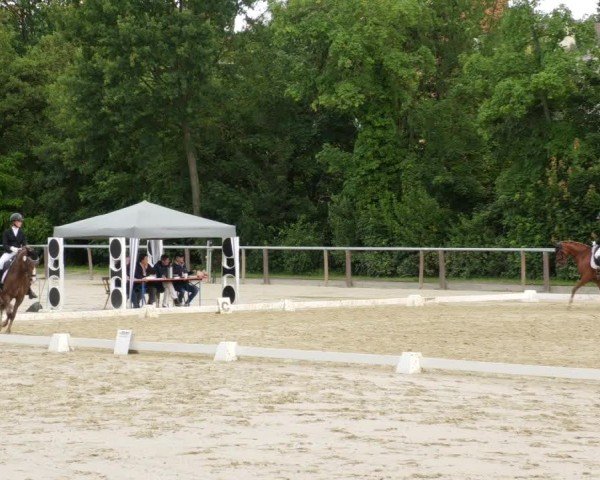 Reitturnier Winnenden 2024