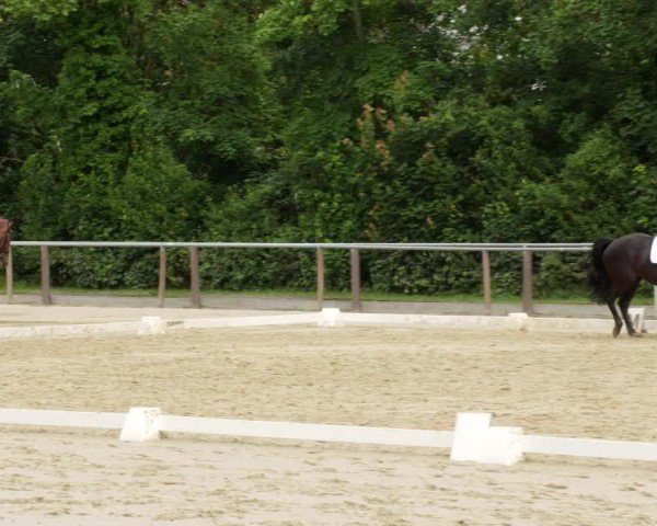 Reitturnier Winnenden 2024