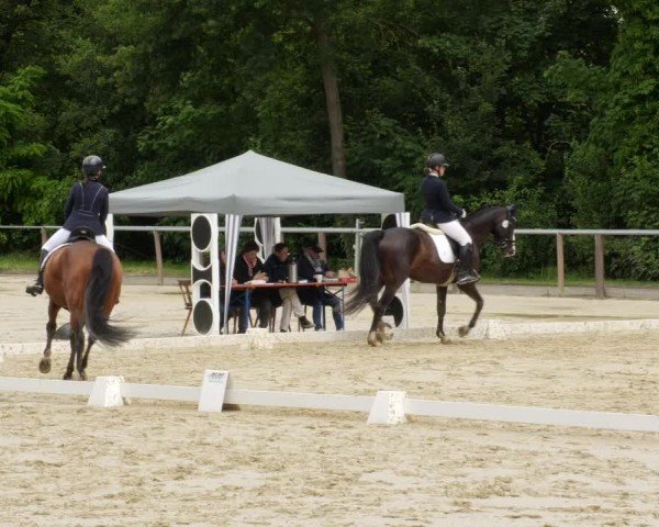 Reitturnier Winnenden 2024