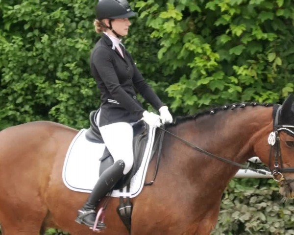Reitturnier Winnenden 2024