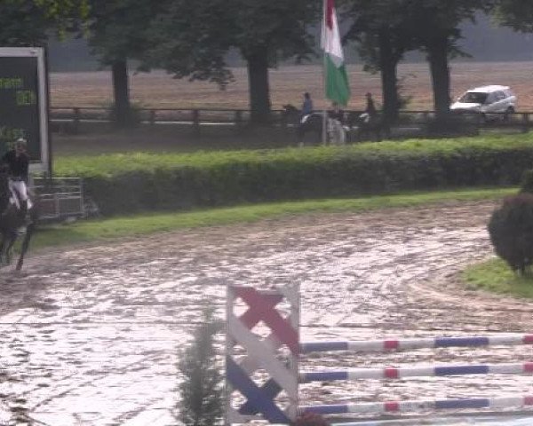 Reit- und Springturnier des LRFV Recklinghausen e.V. vom 23.-26.08.2012