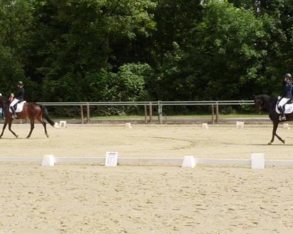 Reitturnier Winnenden 2024