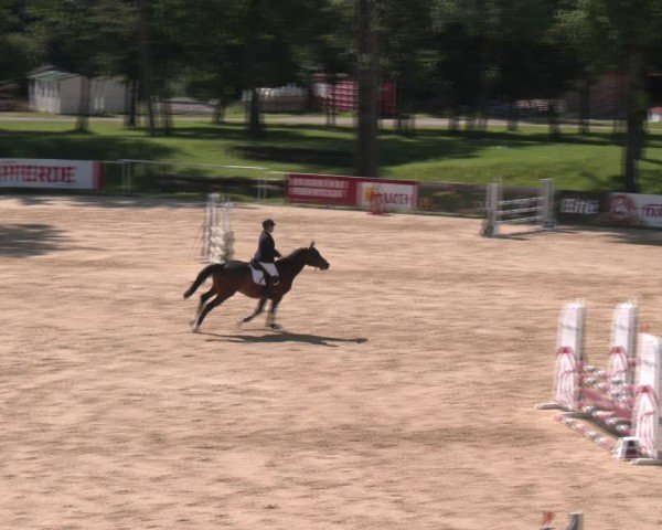Reitturnier Stadl-Paura 2024