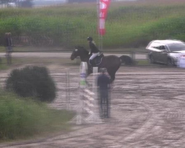 Reit- und Springturnier des LRFV Recklinghausen e.V. vom 23.-26.08.2012