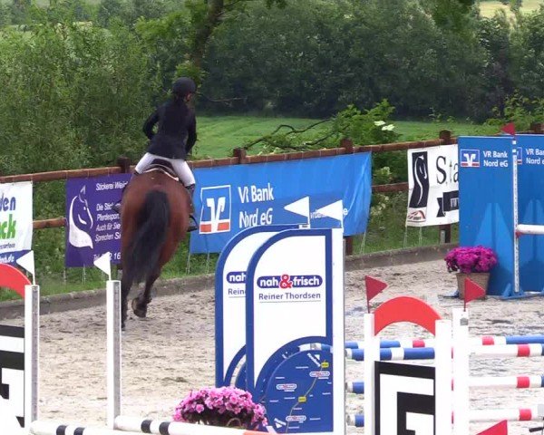 Reitturnier Sörup 2024
