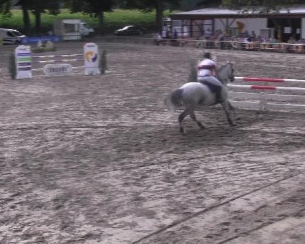 Reit- und Springturnier des LRFV Recklinghausen e.V. vom 23.-26.08.2012