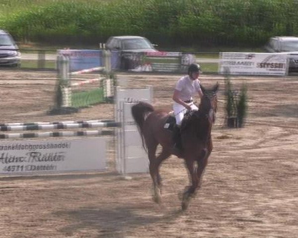 Reit- und Springturnier des LRFV Recklinghausen e.V. vom 23.-26.08.2012