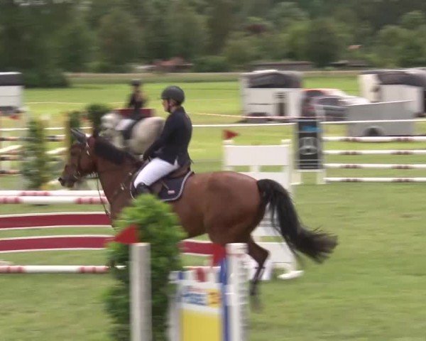 Reitturnier Bad Windsheim/Mfr. 2024