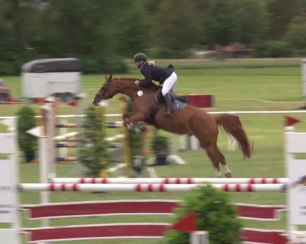 Reitturnier Bad Windsheim/Mfr. 2024
