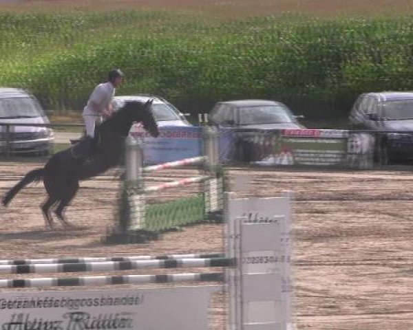 Reit- und Springturnier des LRFV Recklinghausen e.V. vom 23.-26.08.2012