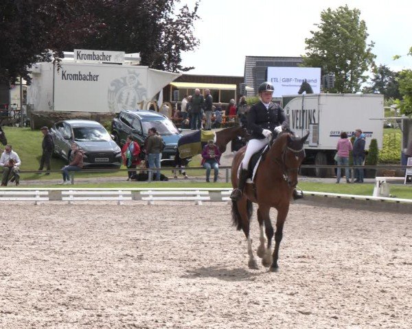 Reitturnier Fröndenberg 2024