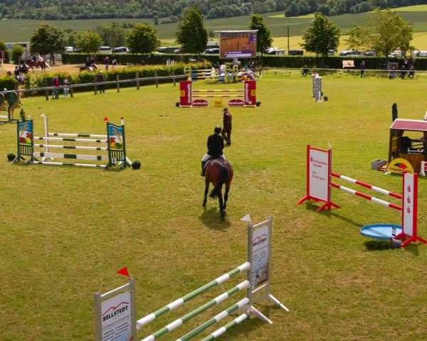 Reitturnier Wingerode 2024