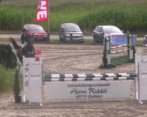 Reit- und Springturnier des LRFV Recklinghausen e.V. vom 23.-26.08.2012