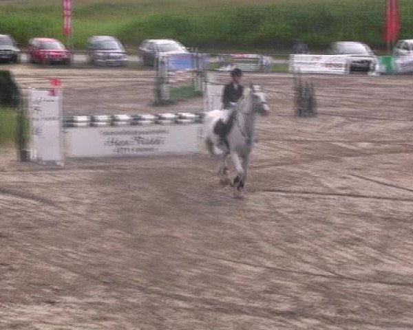 Reit- und Springturnier des LRFV Recklinghausen e.V. vom 23.-26.08.2012