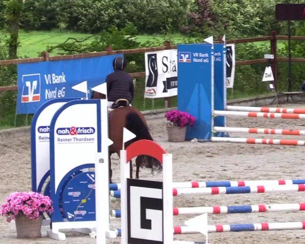 Reitturnier Sörup 2024