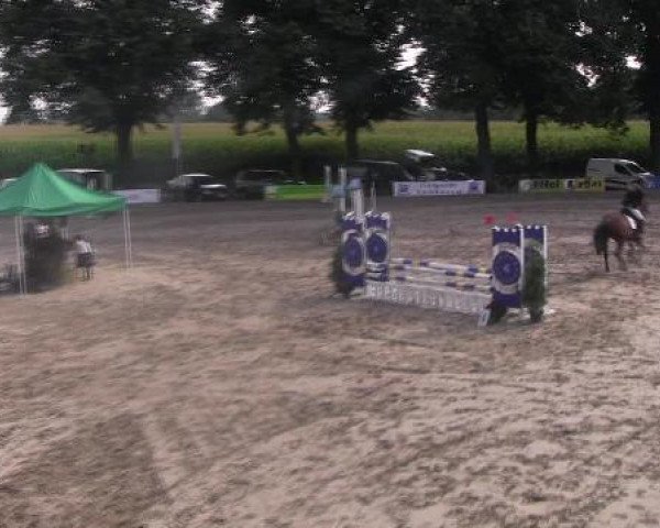 Reit- und Springturnier des LRFV Recklinghausen e.V. vom 23.-26.08.2012
