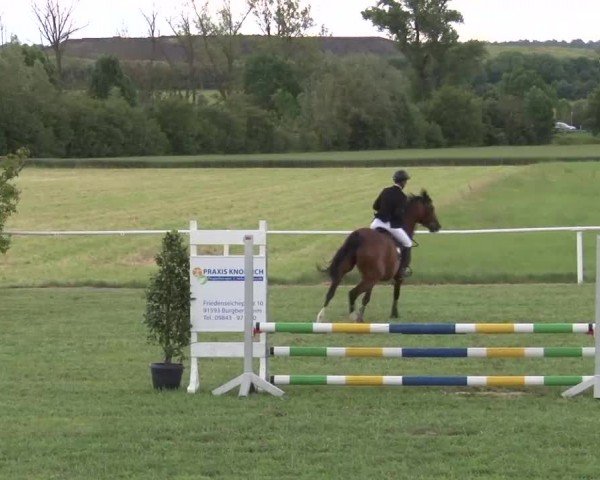 Reitturnier Bad Windsheim/Mfr. 2024