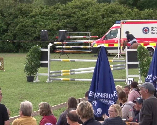 Reitturnier Bad Windsheim/Mfr. 2024