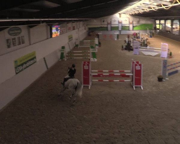 Reitturnier Legden 2021
