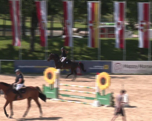 Reitturnier Stadl-Paura 2024