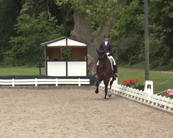 Reitturnier Nörten-Hardenberg 2024