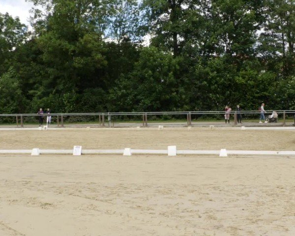 Reitturnier Winnenden 2024