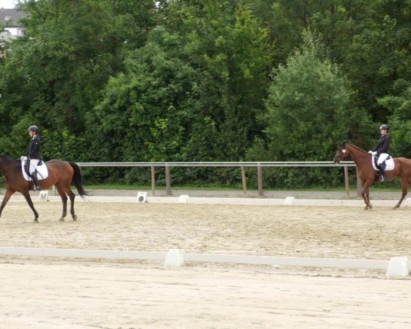 Reitturnier Winnenden 2024