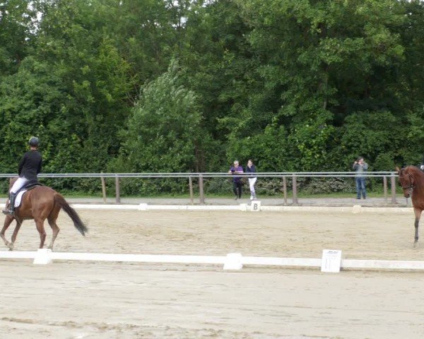 Reitturnier Winnenden 2024