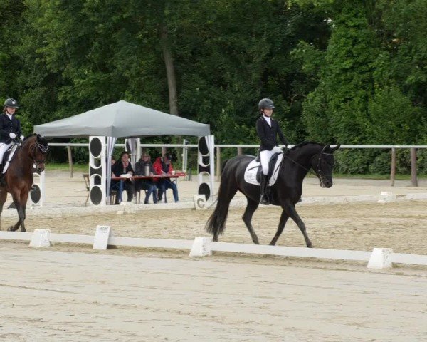 Reitturnier Winnenden 2024